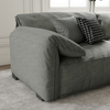 Modern Anti-Scratch Water-Proof Loveseats Dark Gray Sofa 